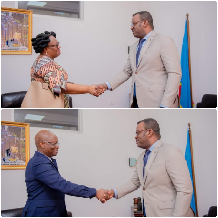 RDC/ La révision du cadre organique de l&rsquo;ESU et le statut des prestataires des nouveaux hôpitaux à l&rsquo;ordre du&nbsp;jour