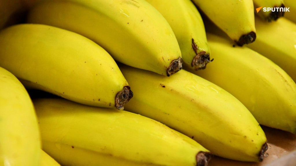 Afrique-Cameroun/ Vers la Conquête du Trône Mondial de la&nbsp;Banane