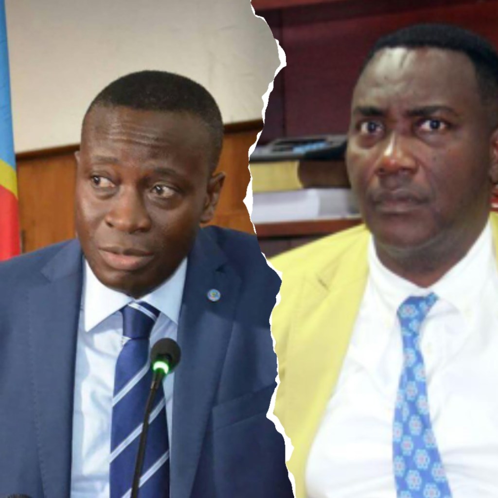 RDC / Allègements Fiscaux sur les Biens de Grande Consommation: Défis et&nbsp;Réalité