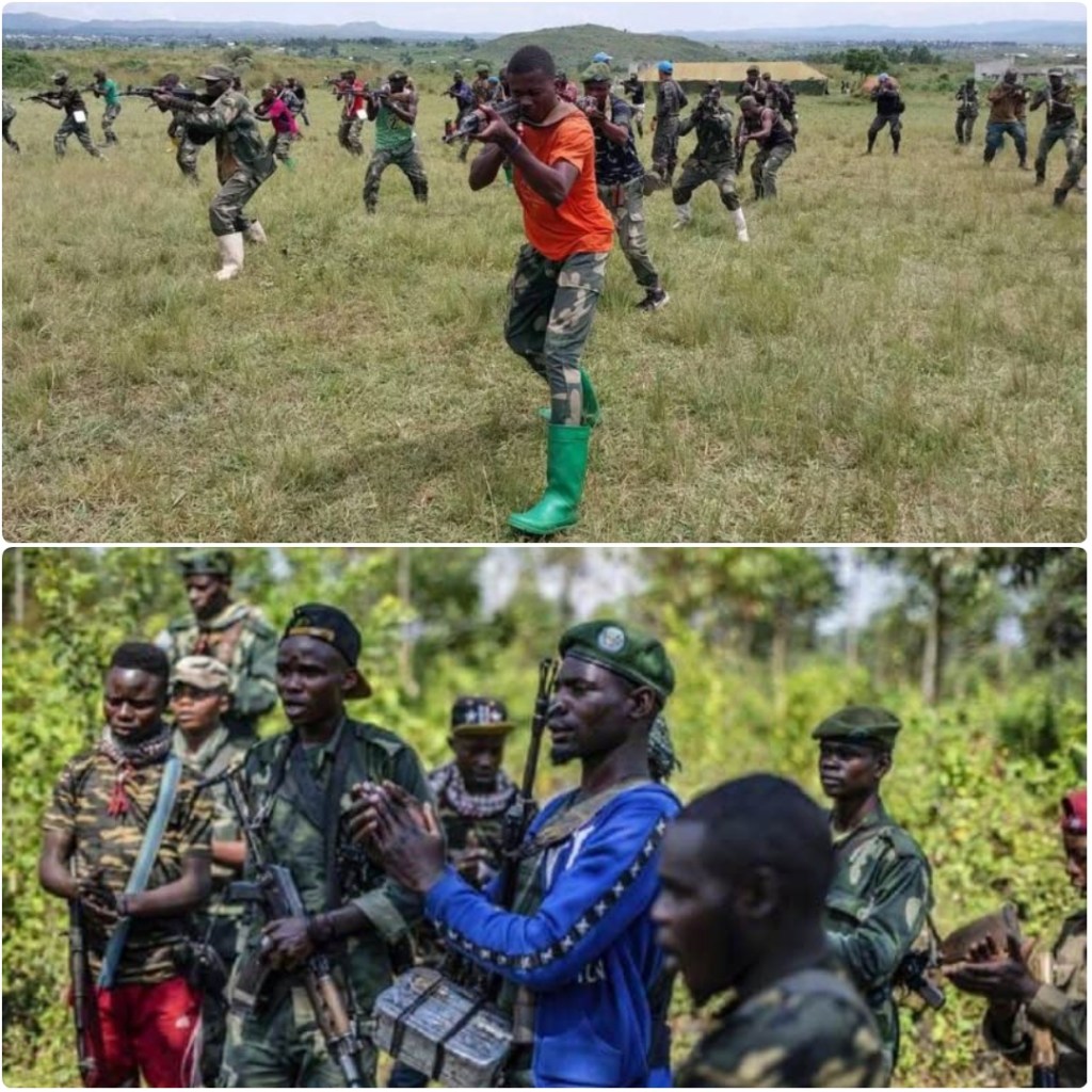 RDC/Nord-Kivu : La Mairie de Beni Demande aux Jeunes Volontaires de Regagner leurs Domiciles pour des Raisons de&nbsp;Sécurité