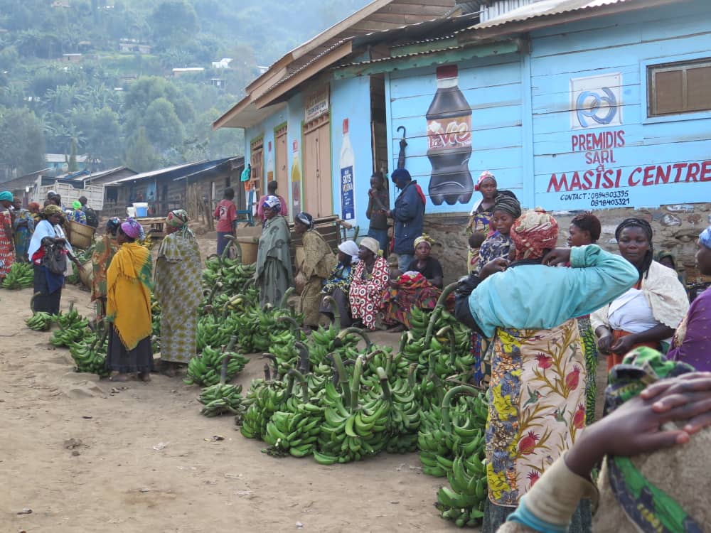 RDC/Nord-Kivu : Perturbation des activités socio-économiques à&nbsp;Bashali