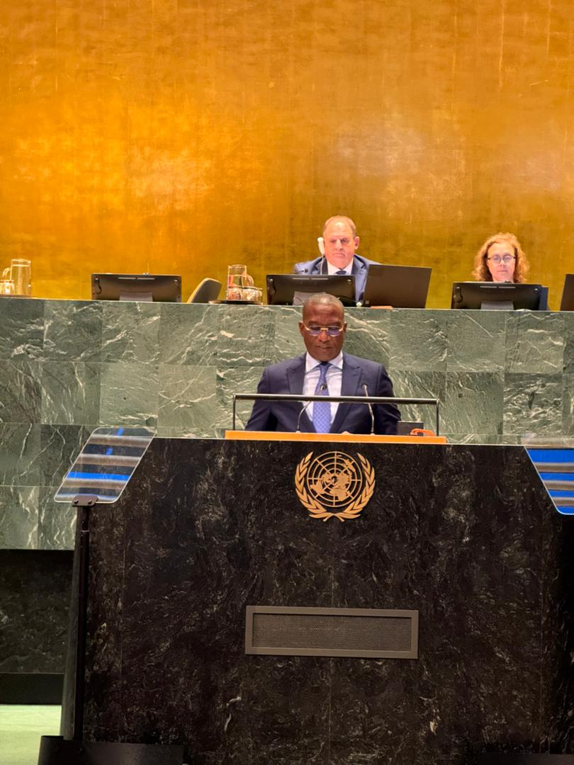 New-York/ Sommet de l’Avenir 2024 : Vers un Nouveau Paradigme pour un Futur Équitable, selon Guylain&nbsp;Nyembo