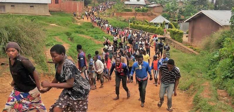 RDC/Flash! Ituri – Insécurité à Mambasa : Des Jeunes Victimes d&rsquo;une Embuscade des&nbsp;ADF