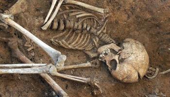 Rdc/ Violences en Ituri : Trois Ossements Humains Découverts par la Communauté Pygmée! Les ADF&nbsp;Suspectés