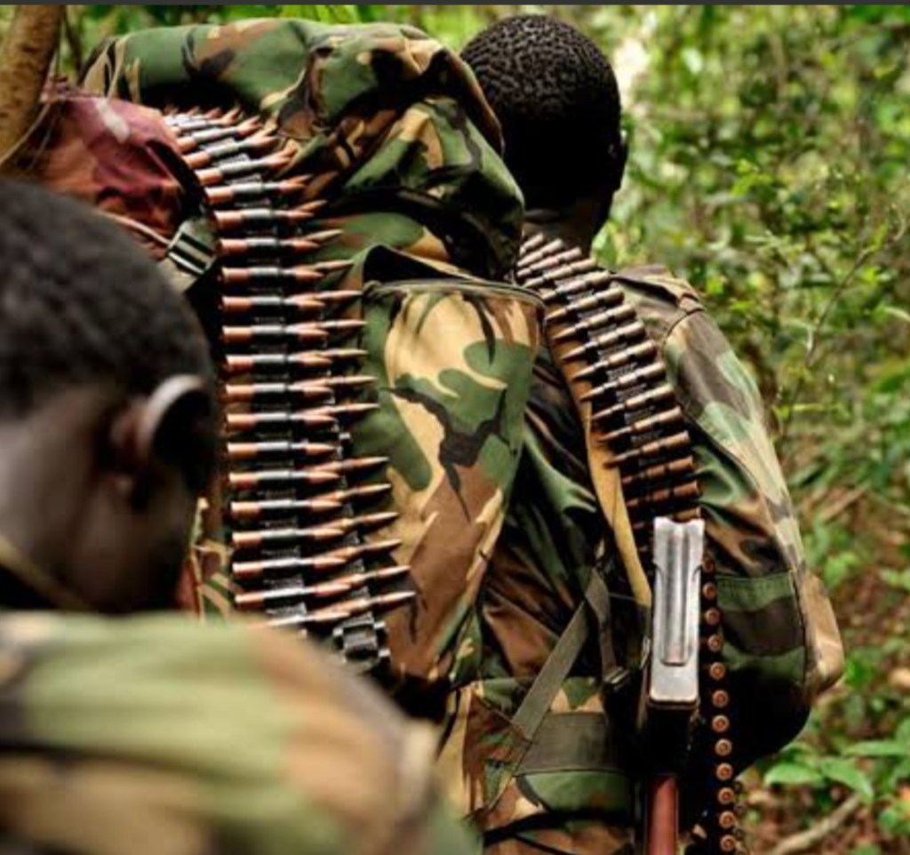 RDC : Insécurité en Ituri – 41 localités de Babila Babombi attaquées par les&nbsp;ADF