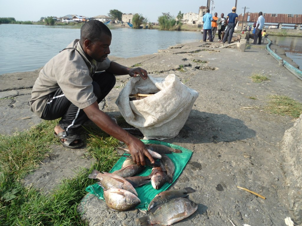 RDC/Nord-Kivu : Pêche Illégale au Lac Édouard – L&rsquo;Impact de la Présence du M23 sur l&rsquo;Écosystème et les Communautés&nbsp;Locales