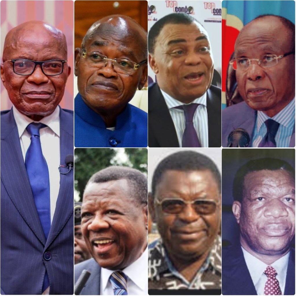 Rdc/ Sondage : Voici Les Leaders Congolais qui Font la Différence dans la promotion&nbsp;sociale