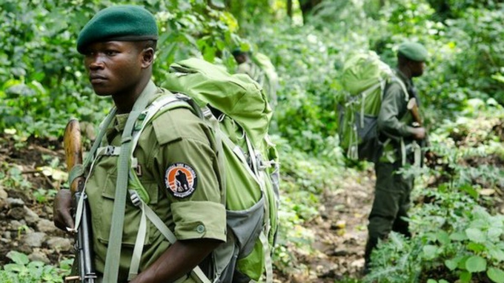 RDC/ Crise au Parc National des Virunga : Plus de 50% de la Faune Disparue à Cause de la Rébellion&nbsp;M23