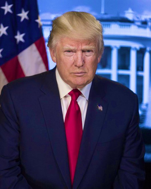 USA/ Réactions à la Réélection de Donald Trump : Un Monde en&nbsp;Ébullition