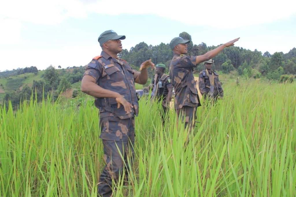 RDC/ Annulation du sommet de Luanda: Intensification des combats et tensions&nbsp;diplomatique