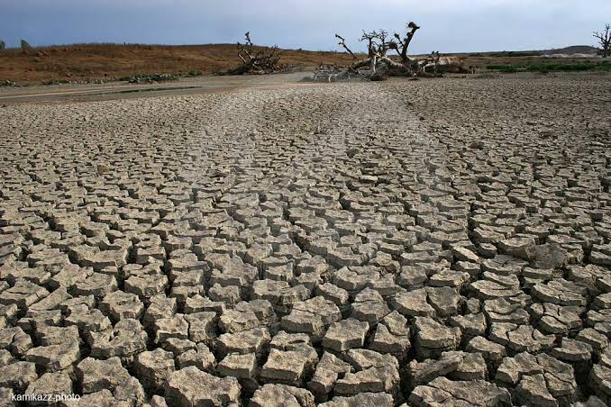 Afrique / Aridité croissante en Afrique de l&rsquo;Est: Le Soudan du Sud et la Tanzanie en&nbsp;tête