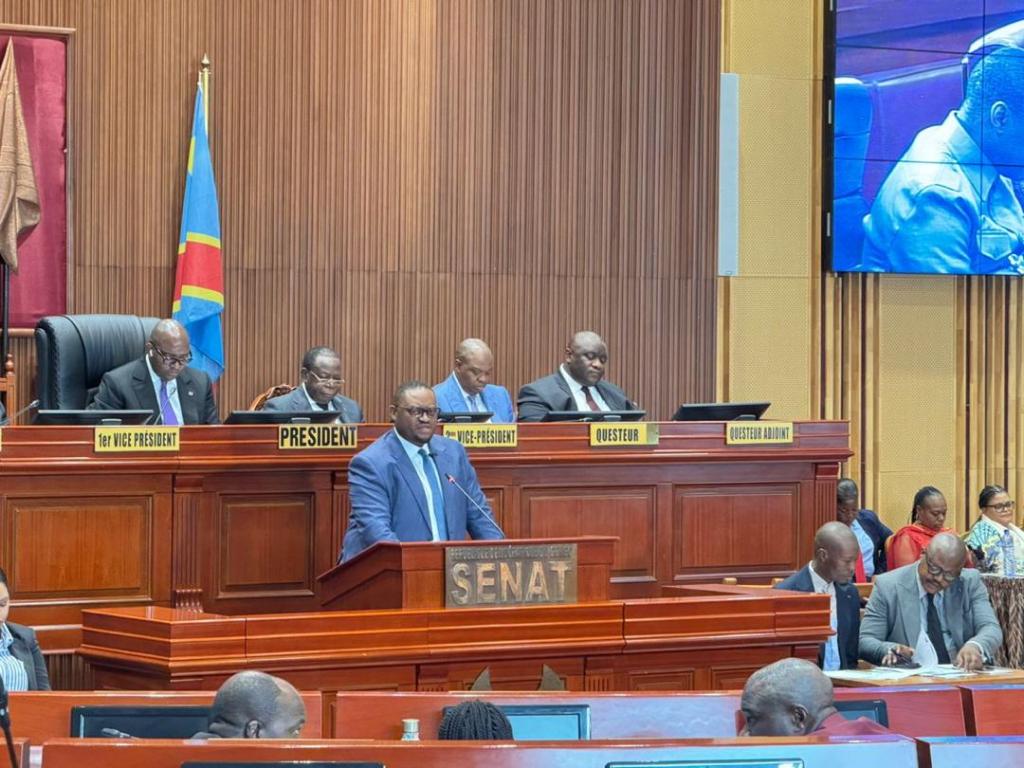 RDC/ Sénat : Le Ministre des Finances Doudou Fwamba Likunde Li-libotayi Présente Sept Projets de Loi de&nbsp;Ratification