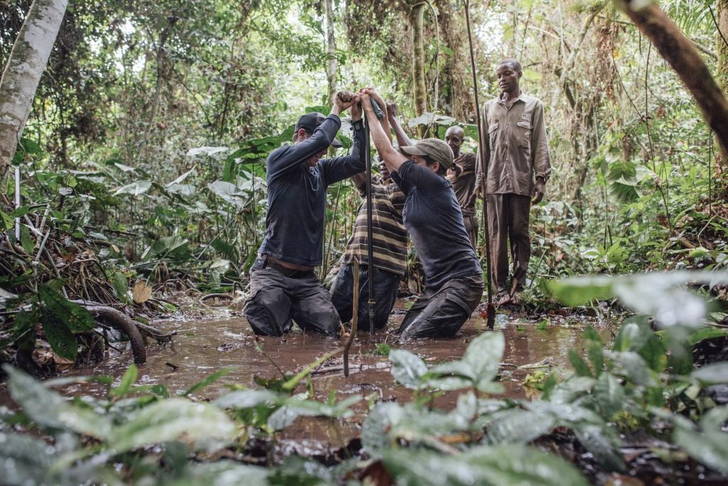RDC/ Protéger ou Exploiter? Le Dilemme du Futur des Tourbières du Bassin du&nbsp;Congo