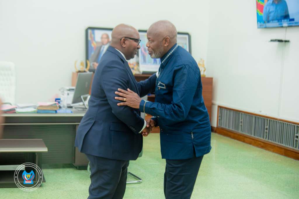 RDC-URGENT/ Guerre du Kivu: les deux chambres du Parlement congolais convoquées en session extraordinaire ce mardi 4&nbsp;Février!