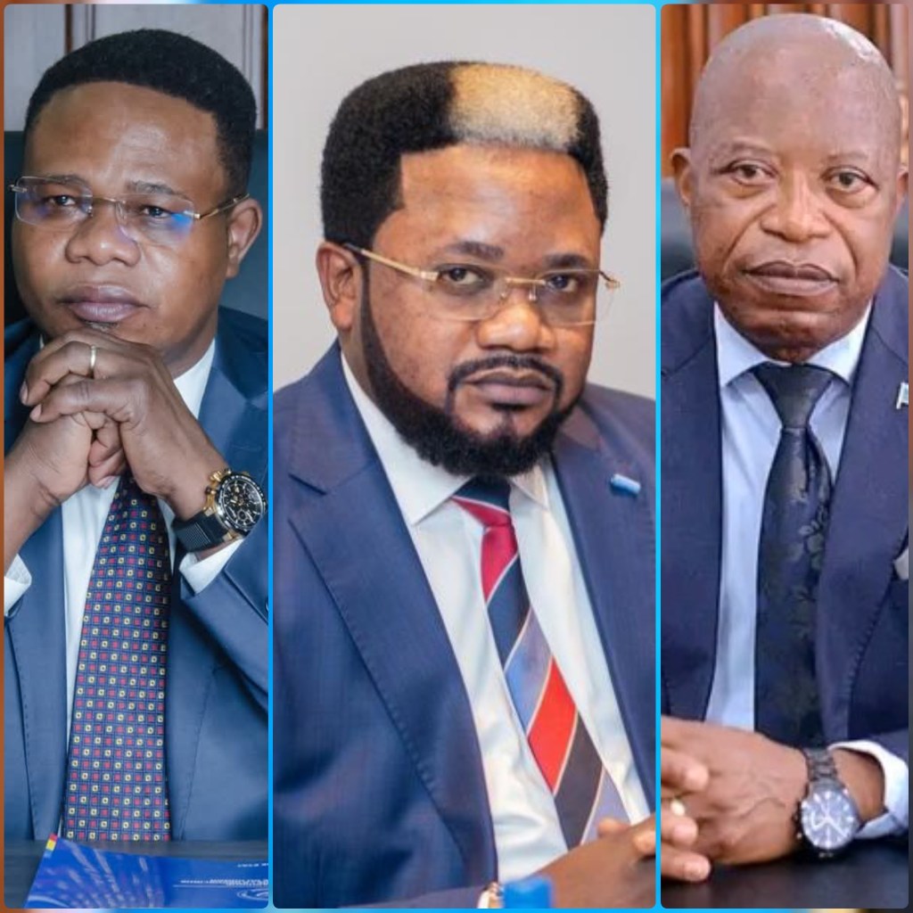 RDC / Consultation pour le Gouvernement d&rsquo;Union nationale: Thierry Musenepwo explique la démarche du Professeur&nbsp;Mbata