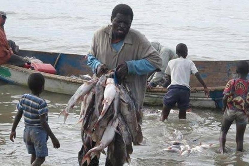 RDC—Nord-Kivu : La chute de la production du lac Édouard plonge Vitshumbi dans la&nbsp;précarité