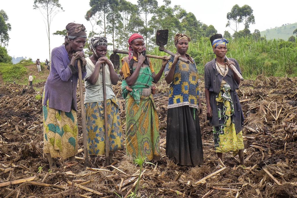 RDC – Nord-Kivu : Les cultivateurs du groupement de Kisigari à Rutshuru confrontés à une faible production&nbsp;agricole